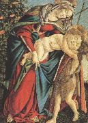 Sandro Botticelli Madonna and Child with the Young St john or Madonna of the Rose Garden (mk36) painting